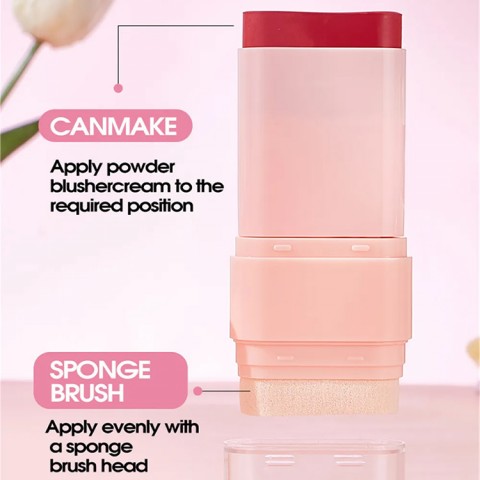 3 IN 1 Blush with sponge brush