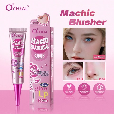 3 IN 1 Magic Blusher