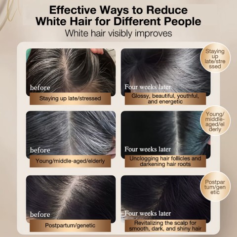 Saffron polygonum Multiflorum Black hair 3pcs Set