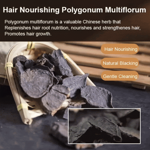 JaniceJo Polygonum Multiflorum Ginseng Hair Darkening Shampoo Bar