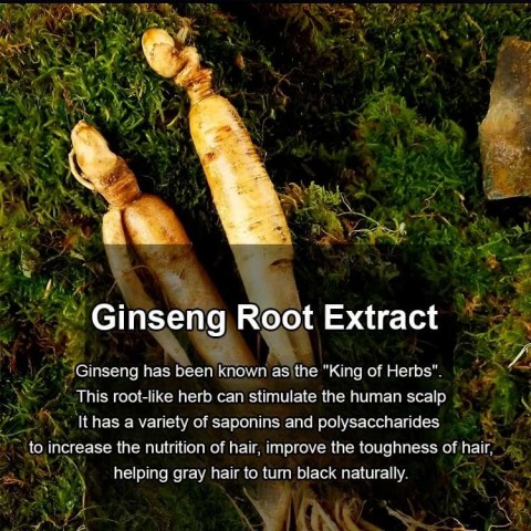 JaniceJo Polygonum Multiflorum Ginseng Hair Darkening Shampoo Bar