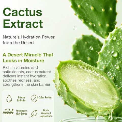Cactox pore relief balm