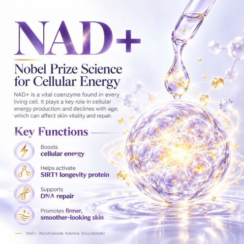 Retinol Retinal 2000 NAD+