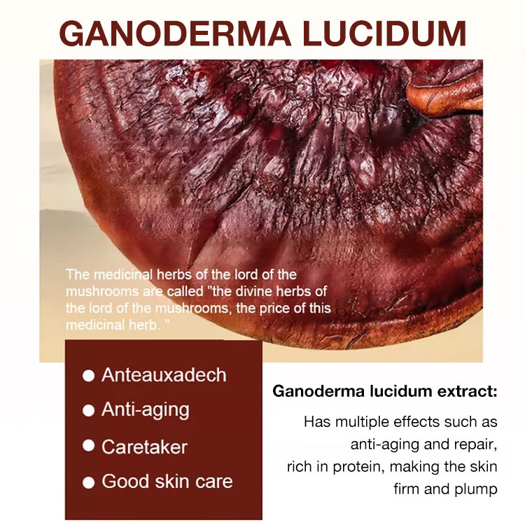Christmas Sale Free Shipping - Ganoderma lucidum Anti-wrinkle Rejuvenating Serum - Fade fine lines/Deeply repair/Moisturizing & Firming skin - 28-Day Effective Wrinkle Reduction